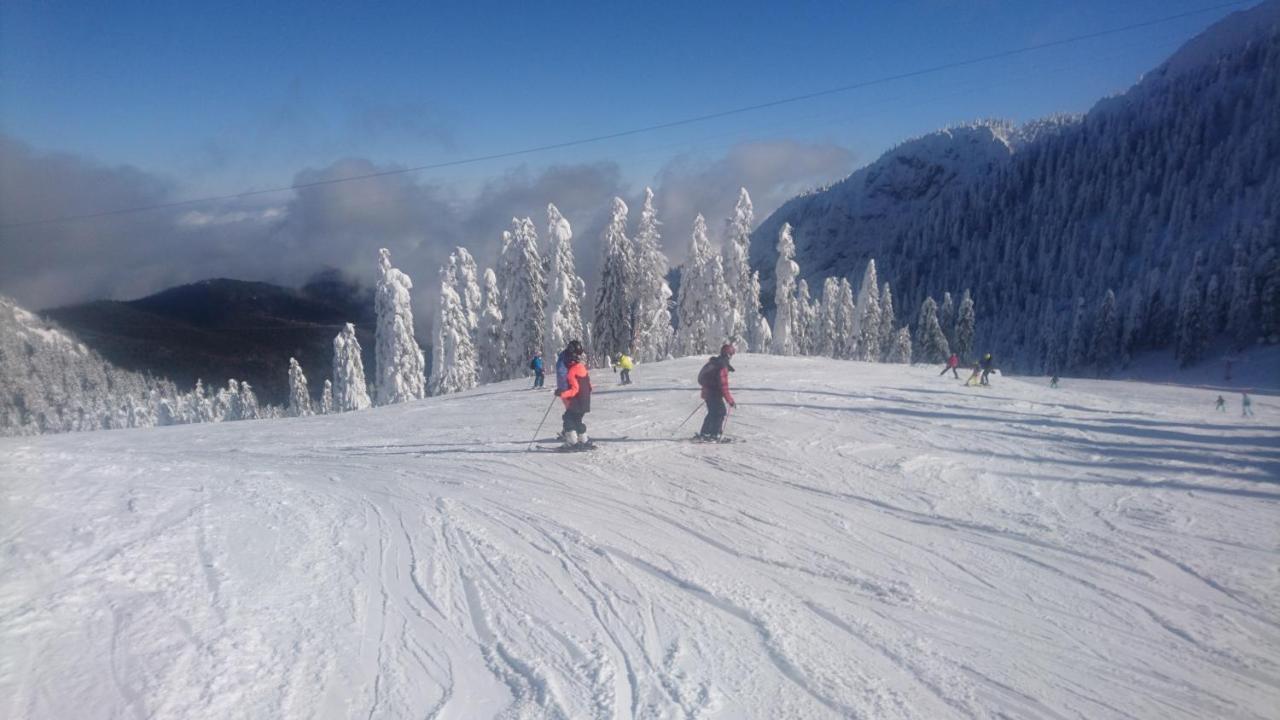 Apartament 2706 Alpin Resort, Etaj 7, Poiana Brasov Exteriör bild