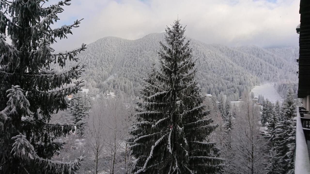 Apartament 2706 Alpin Resort, Etaj 7, Poiana Brasov Exteriör bild