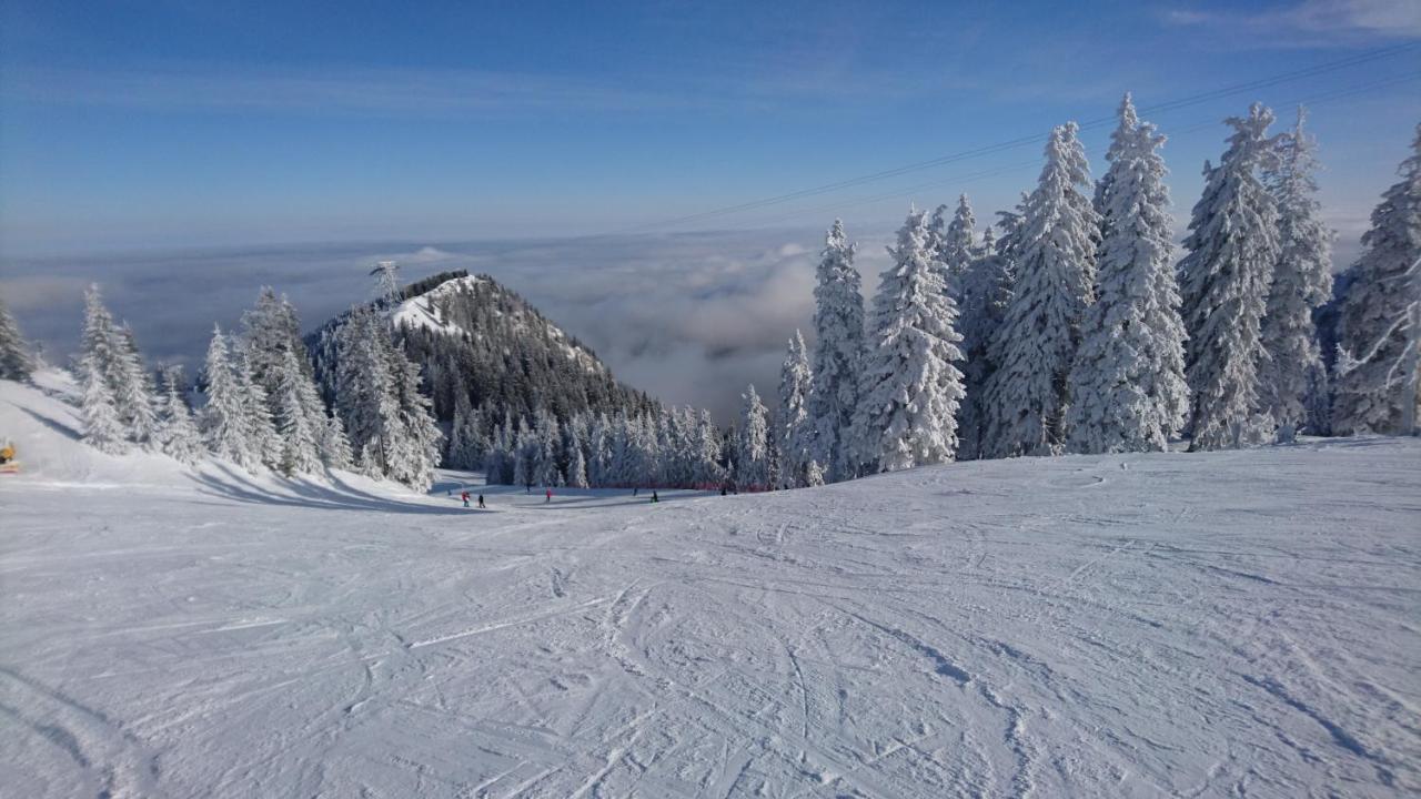 Apartament 2706 Alpin Resort, Etaj 7, Poiana Brasov Exteriör bild