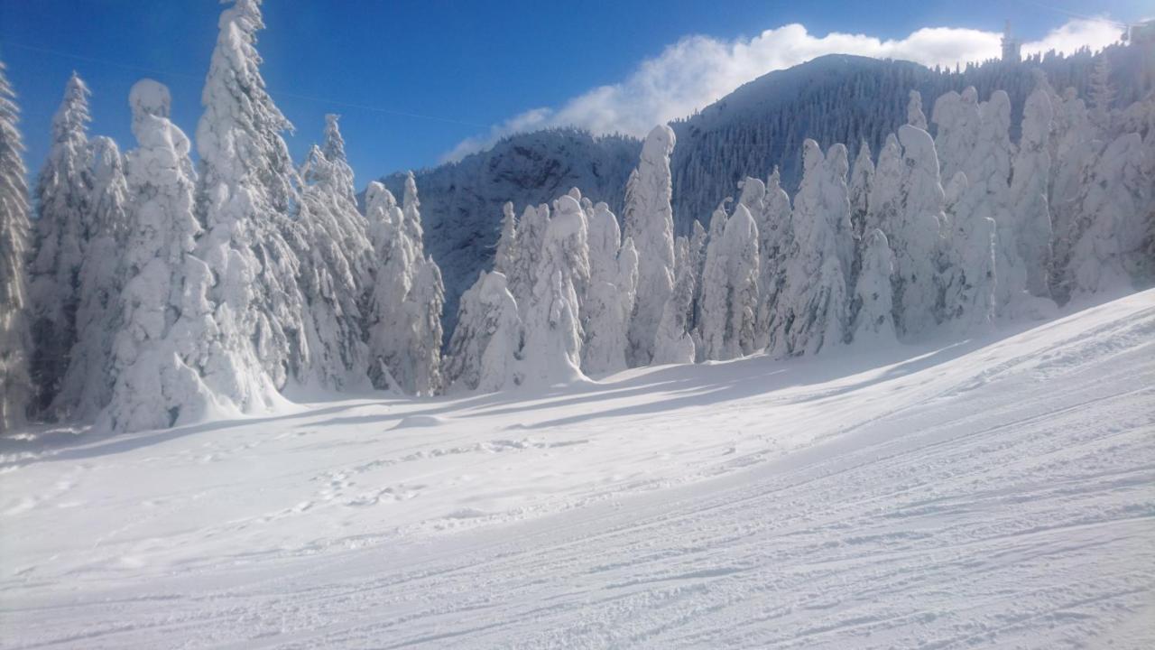 Apartament 2706 Alpin Resort, Etaj 7, Poiana Brasov Exteriör bild