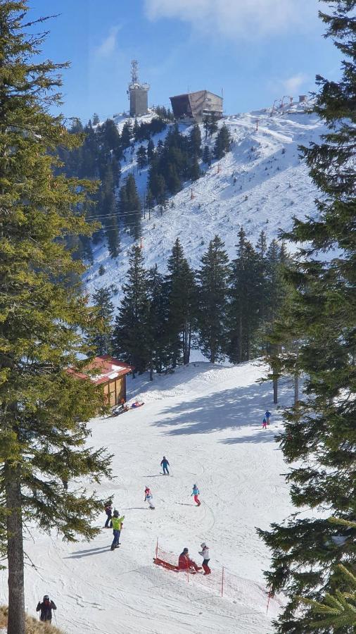 Apartament 2706 Alpin Resort, Etaj 7, Poiana Brasov Exteriör bild